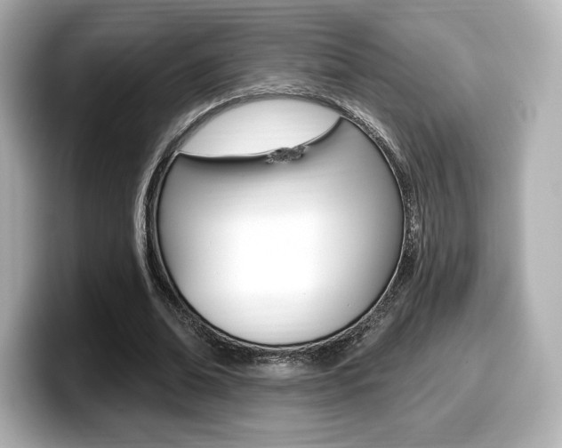 X0000099380678200805081159