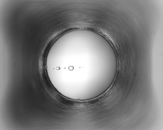 X0000099380679200805081159