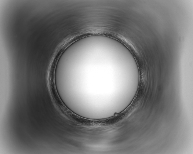 X0000099380682200805081159