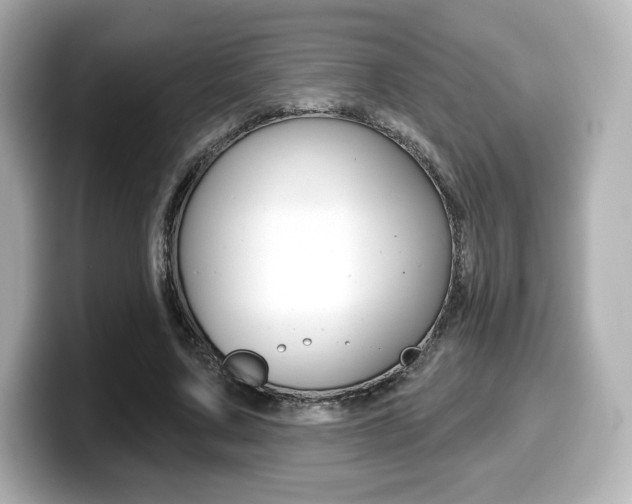 X0000099380683200805081159