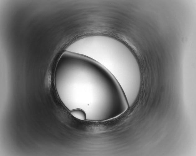 X0000099380685200805081159