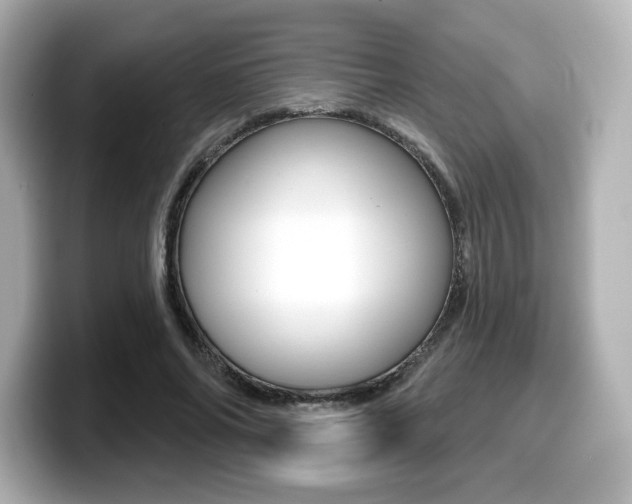 X0000099380686200805081159