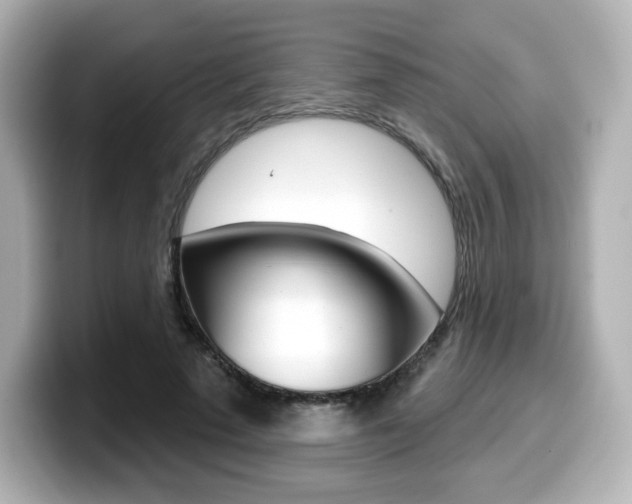 X0000099380689200805081159