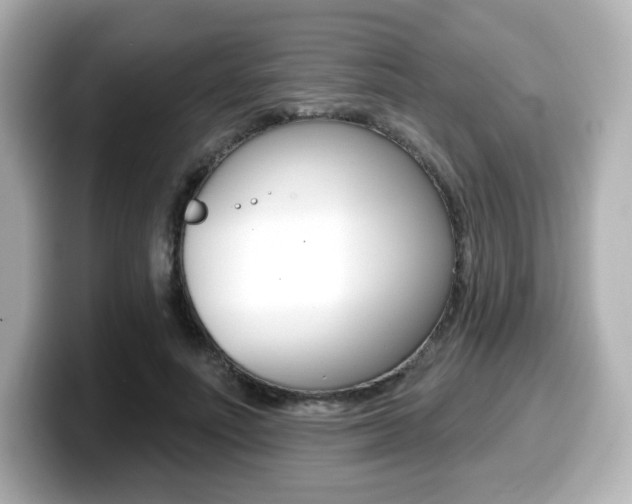 X0000099380691200805081159