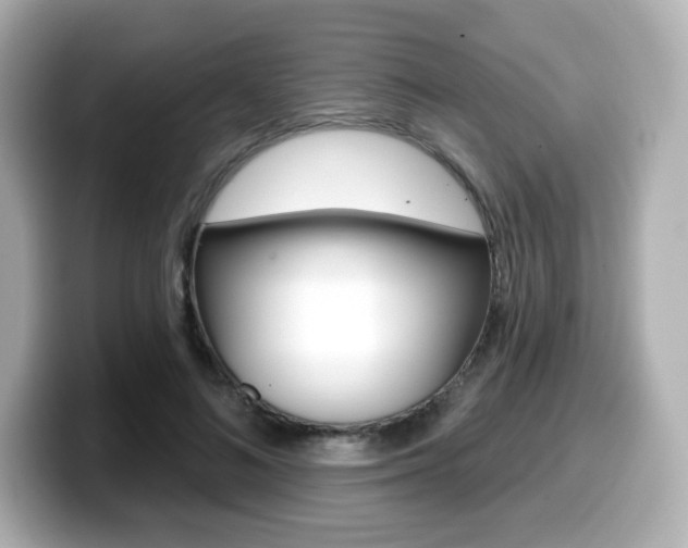 X0000099380692200805081159
