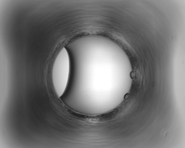 X0000099380694200805081159