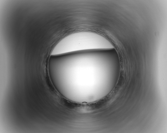 X0000099380696200805081159
