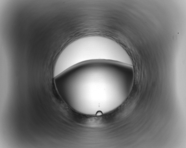 X0000099380700200805081159