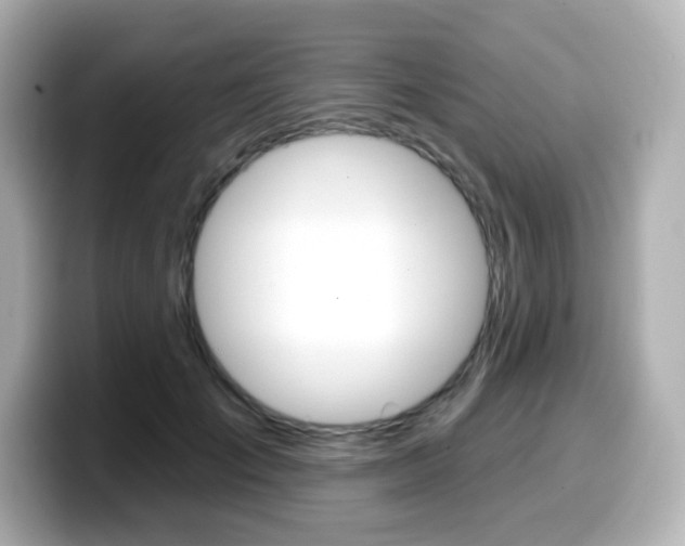X0000099380701200805081159