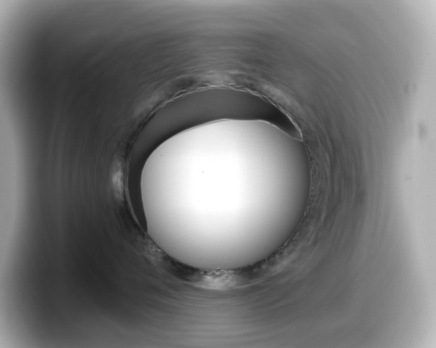X0000099380720200805081159