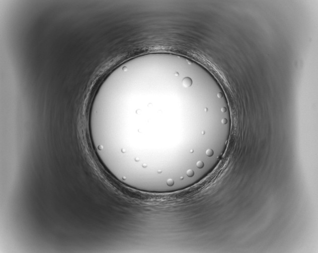 X0000099380721200805081158