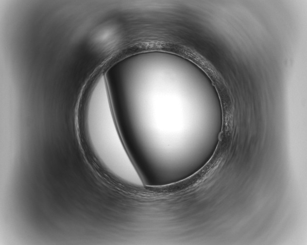 X0000099380722200805081158