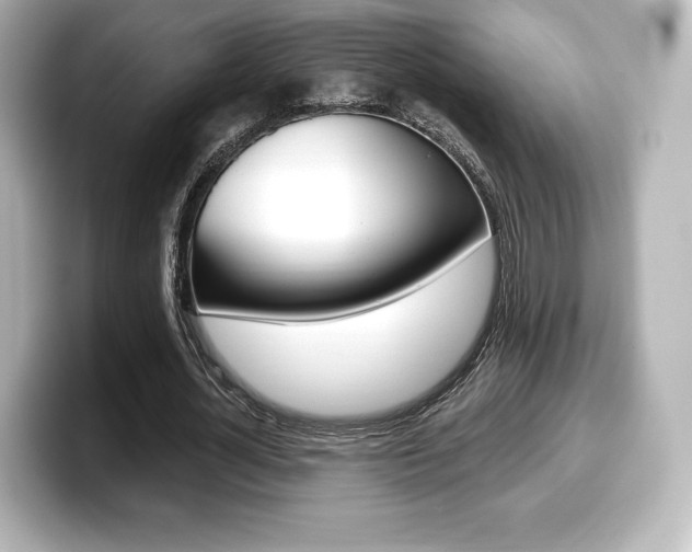 X0000099380724200805081158