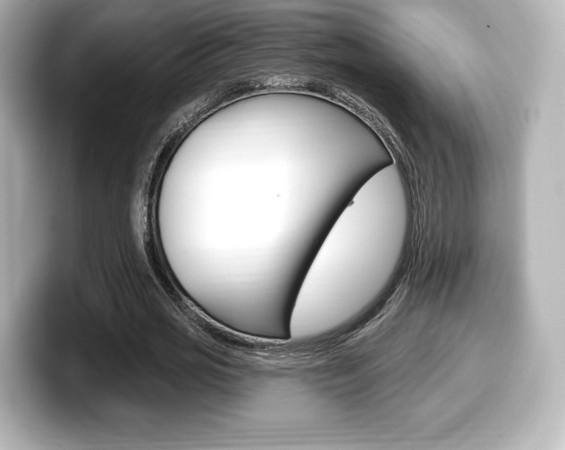X0000099380725200805081158