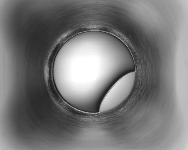 X0000099380726200805081158