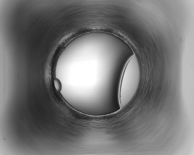 X0000099380727200805081158