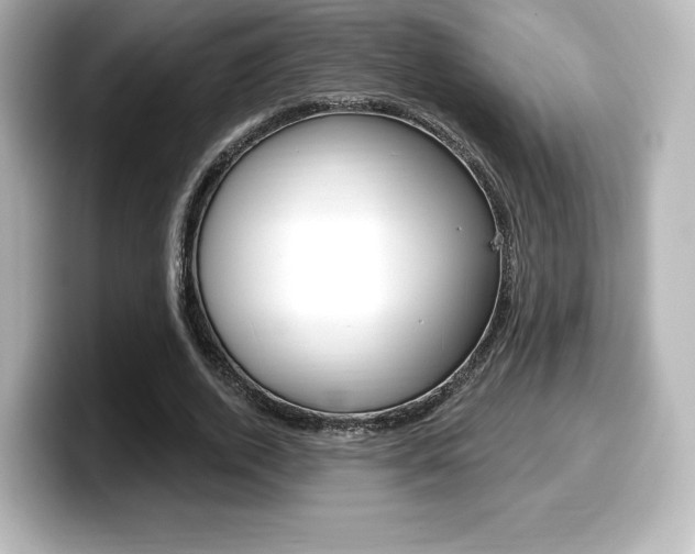X0000099380728200805081158