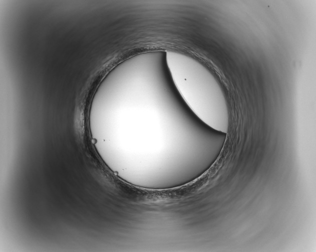 X0000099380729200805081158
