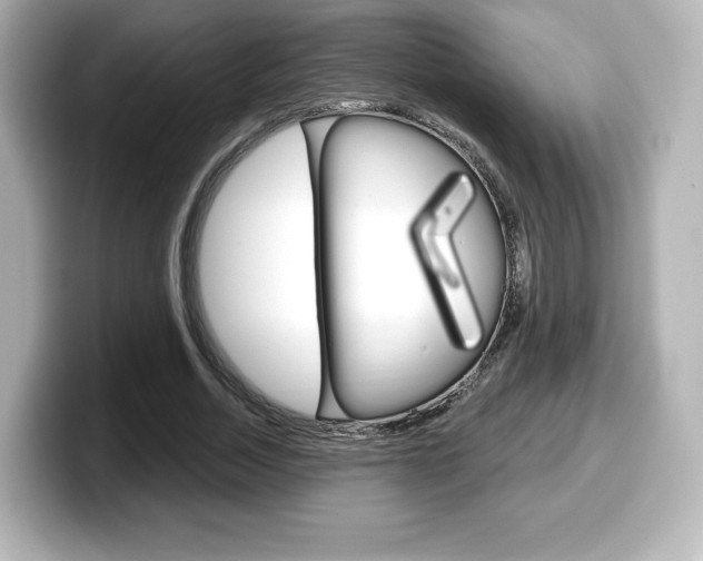 X0000099380730200805081158