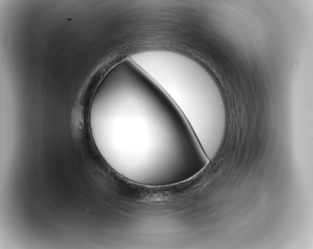 X0000099380731200805081158