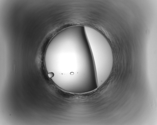 X0000099380736200805081158