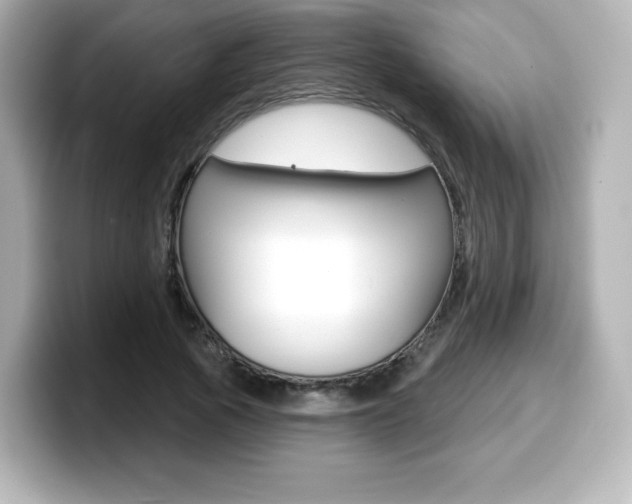 X0000099380737200805081158