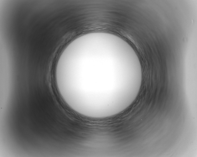 X0000099380738200805081159