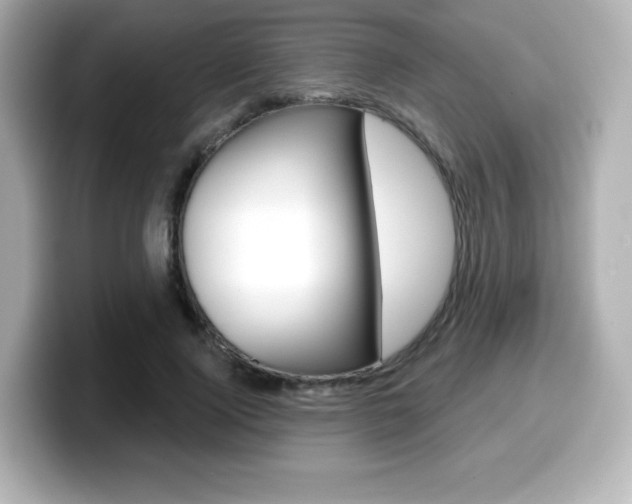 X0000099380740200805081159