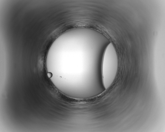 X0000099380741200805081159