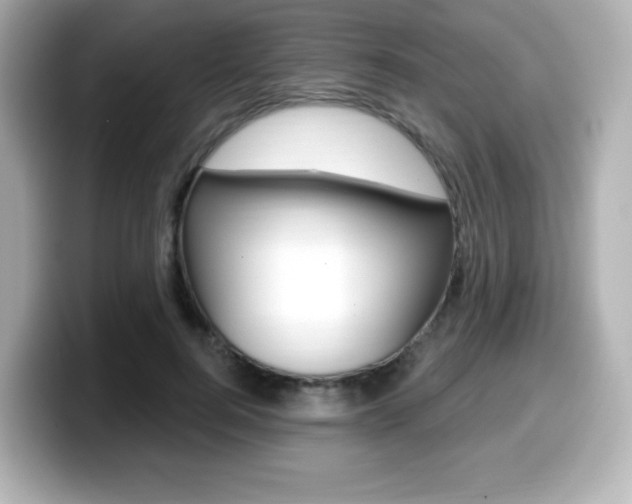 X0000099380744200805081159