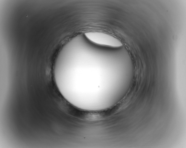 X0000099380749200805081159