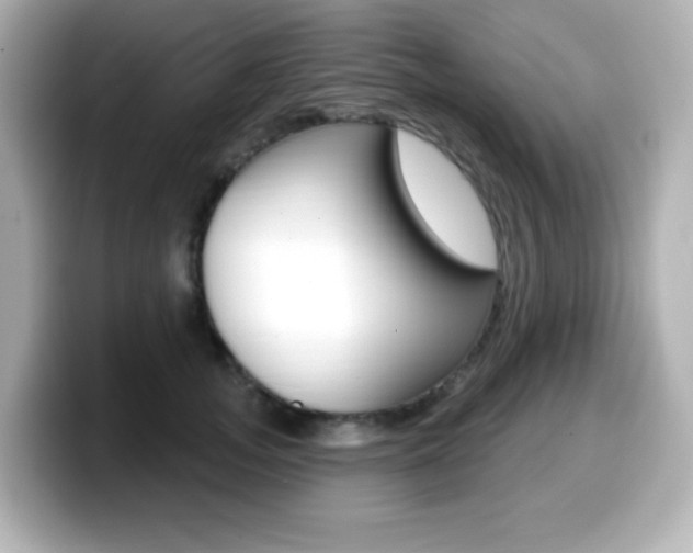 X0000099380755200805081159