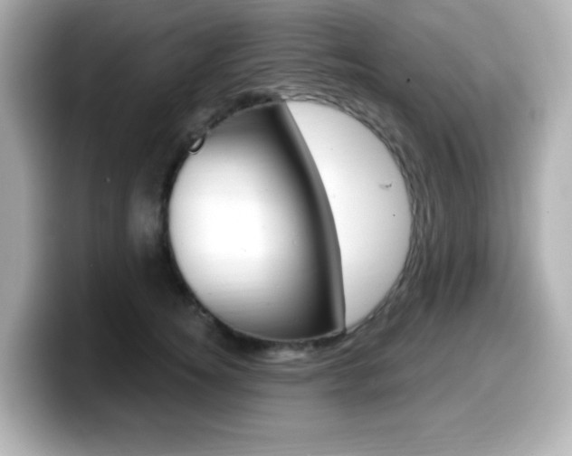 X0000099380756200805081159