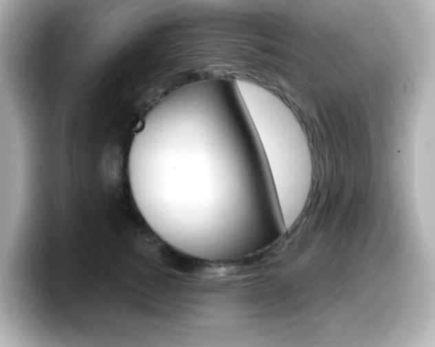X0000099380760200805081159