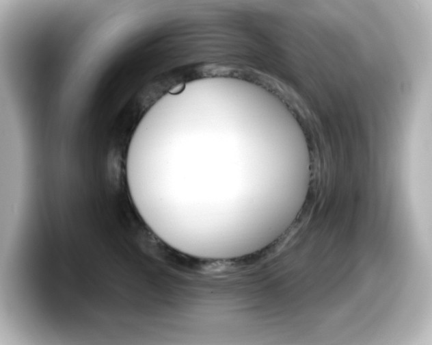 X0000099380761200805081159