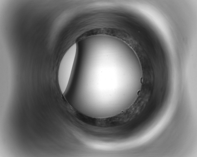 X0000099380766200805081159