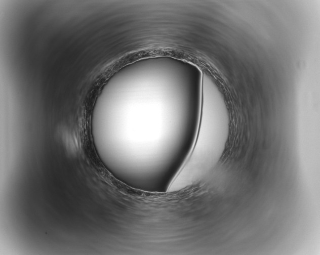 X0000099380773200805081158