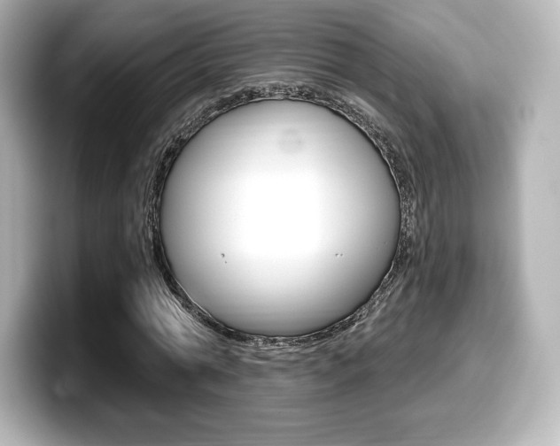 X0000099380774200805081158