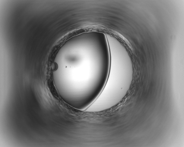 X0000099380775200805081158