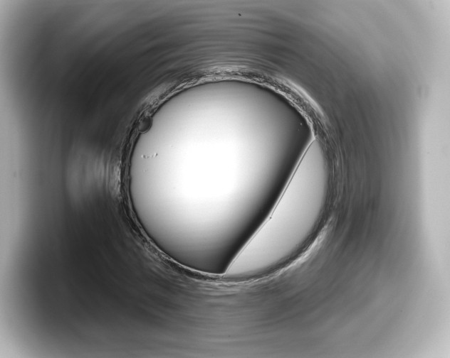 X0000099380777200805081158