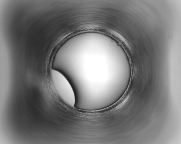 X0000099380778200805081158