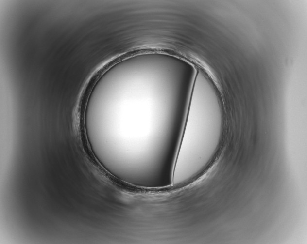 X0000099380779200805081158