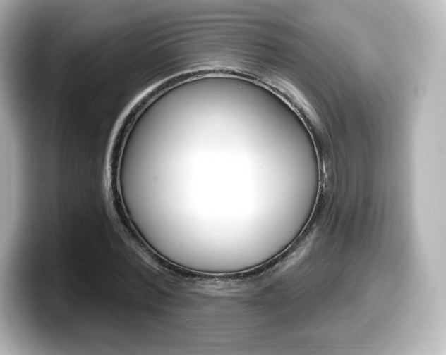 X0000099380780200805081158