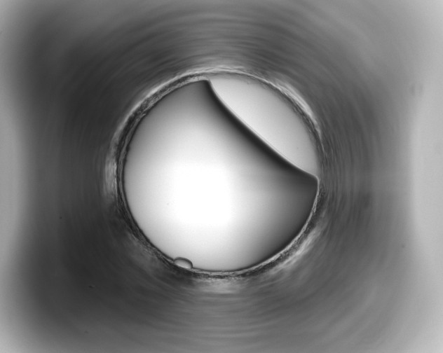 X0000099380781200805081158