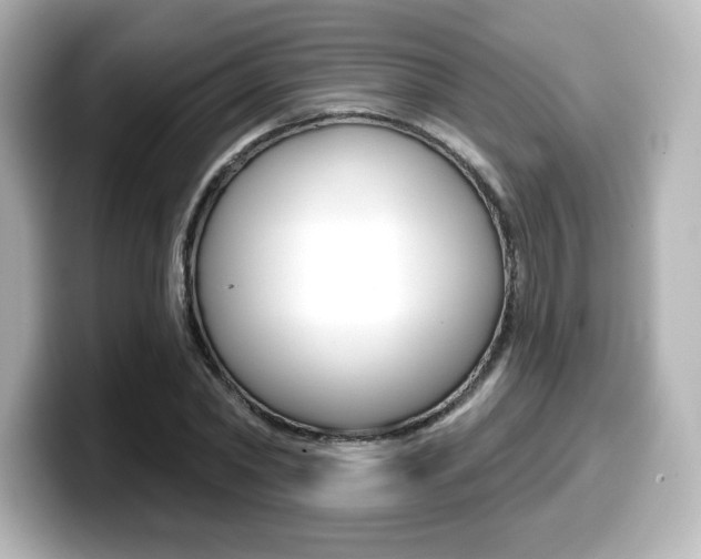 X0000099380782200805081158