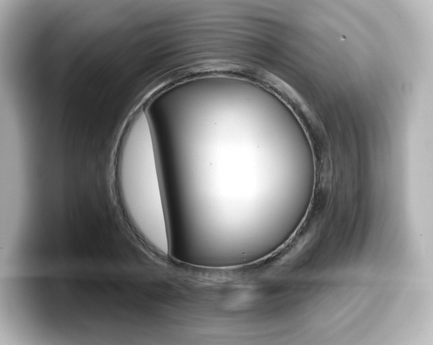 X0000099380786200805081158
