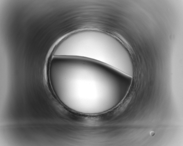 X0000099380788200805081158