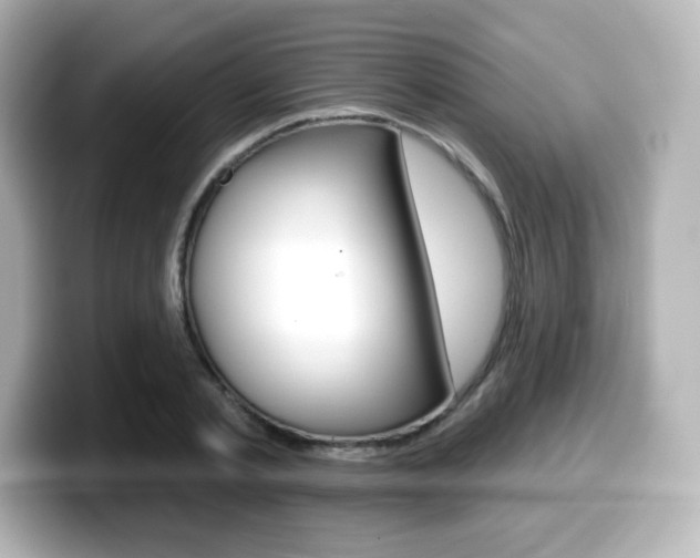 X0000099380789200805081158