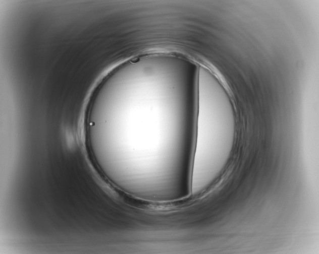 X0000099380795200805081158