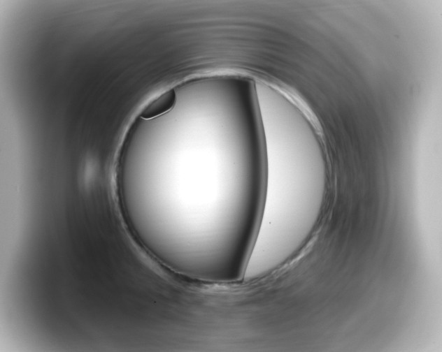 X0000099380805200805081158